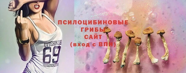 альфа пвп Инта