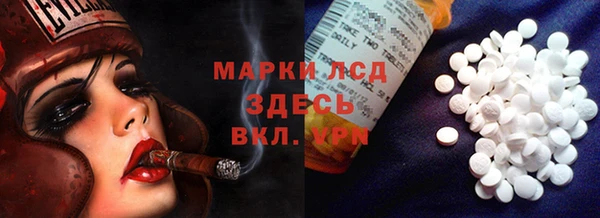 альфа пвп Инта