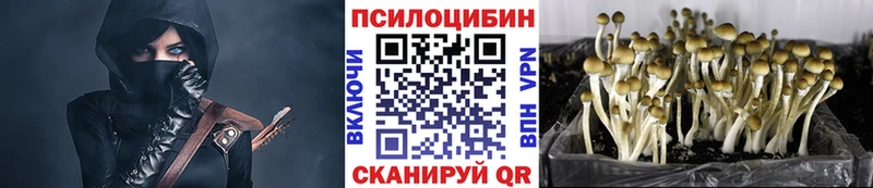 Купить закладки  Западная Двина  Галлюциногенные грибы GOLDEN TEACHER 